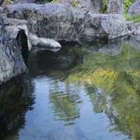 混浴の露天風呂