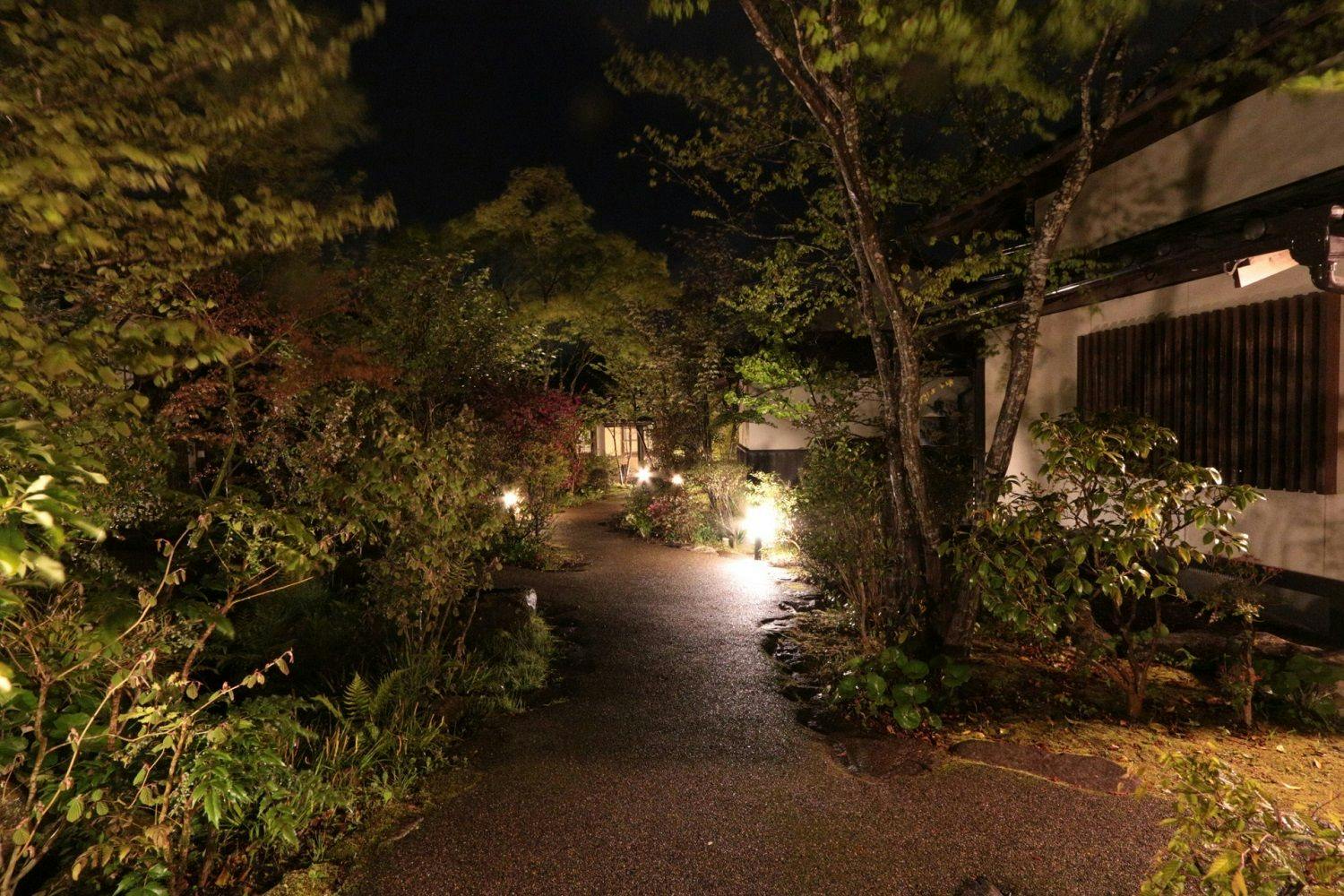ライトアップされた夜の中庭の小径。