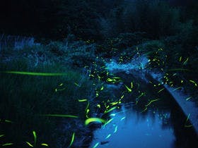 四季を奏でるさらさの宿 皆生つるや