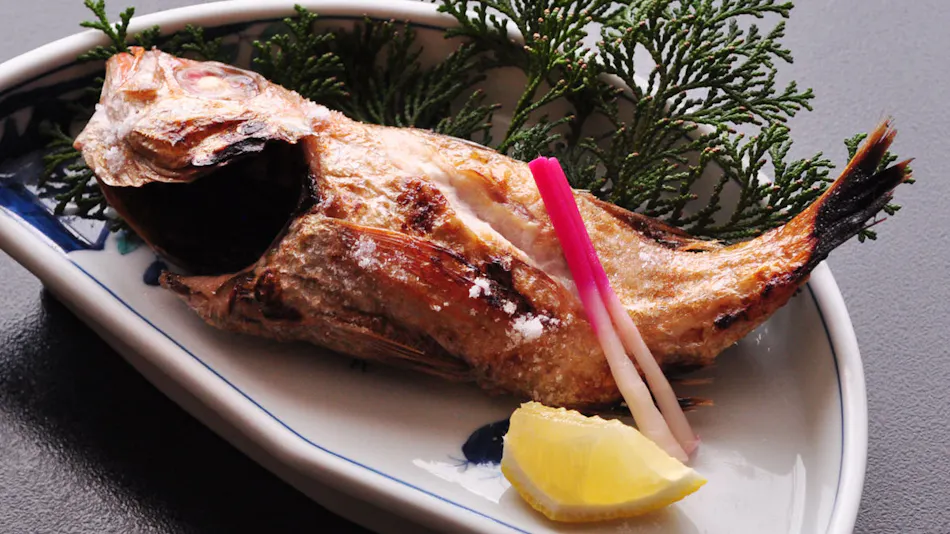 Kaike Onsen Kaike Tsuruyama Sarasa no Yado: A Lodge that Plays the Melody of the Four Seasons