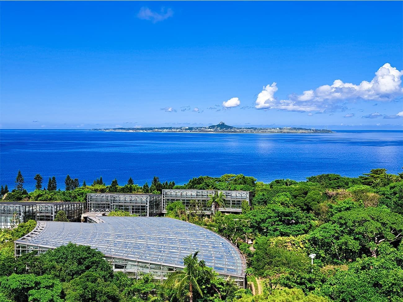 眺望オーシャンビュー