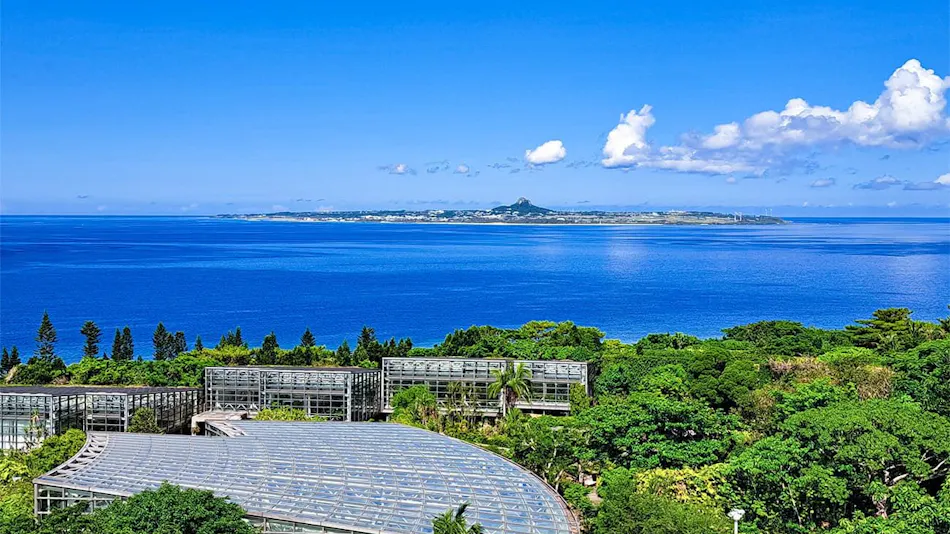 Wisteria Condominium Resort