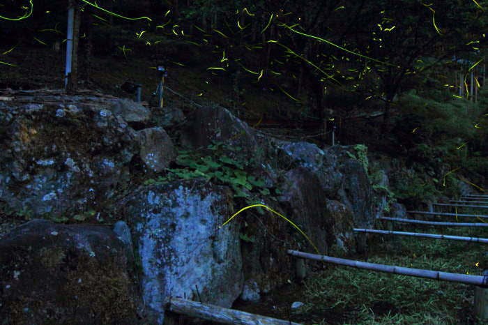 船山温泉