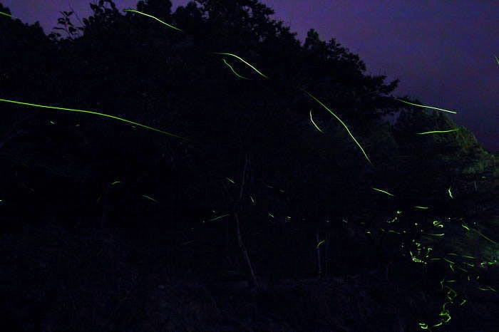 船山温泉
