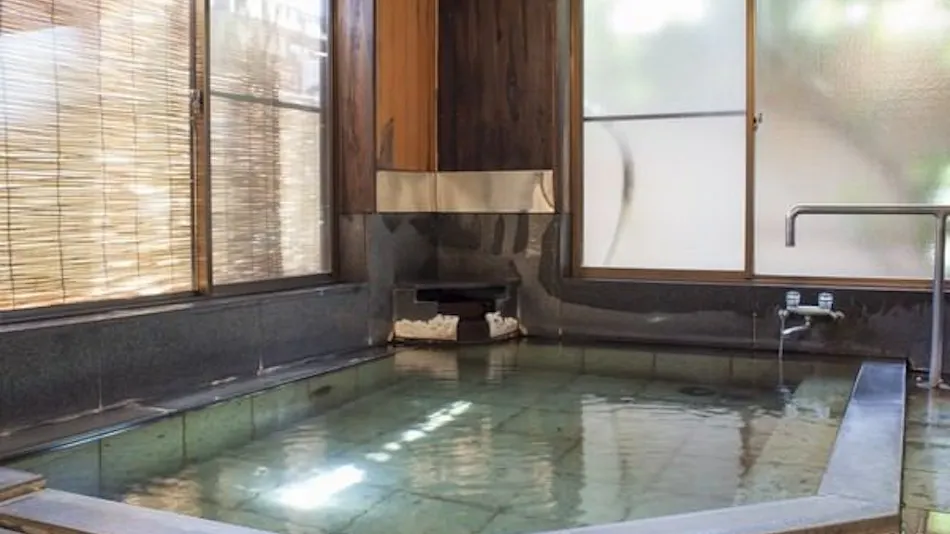 Shinshu Shimosuwa Onsen Gin Getsu