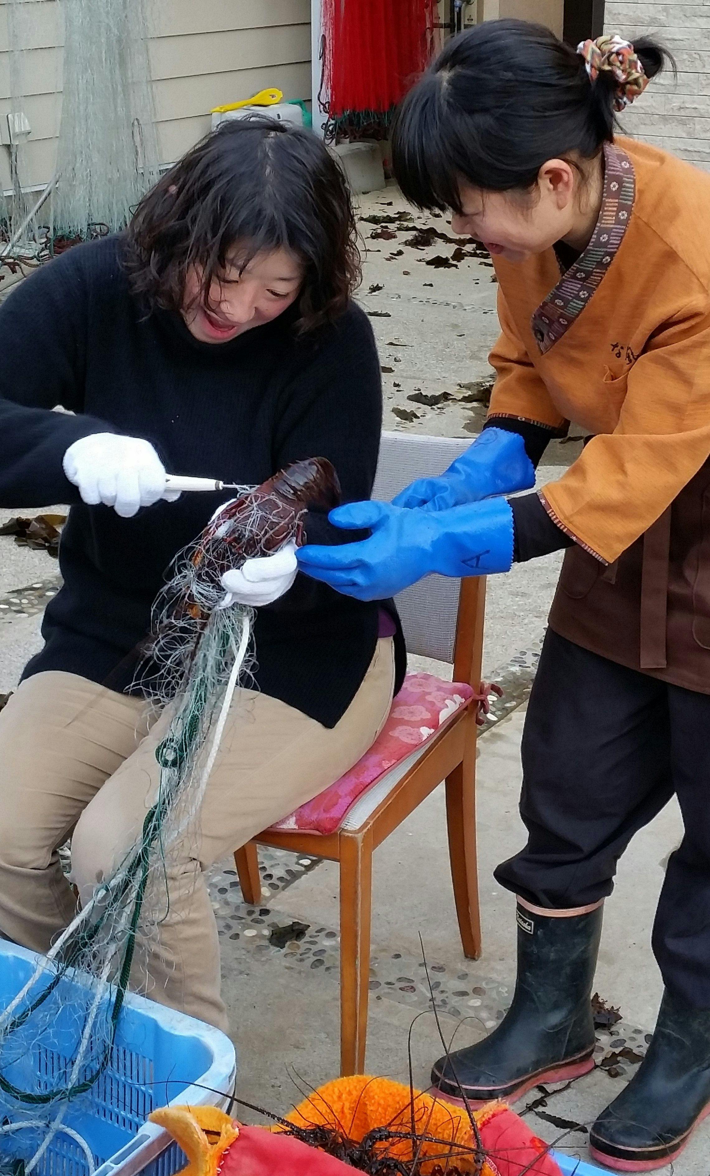 伊勢海老漁体験