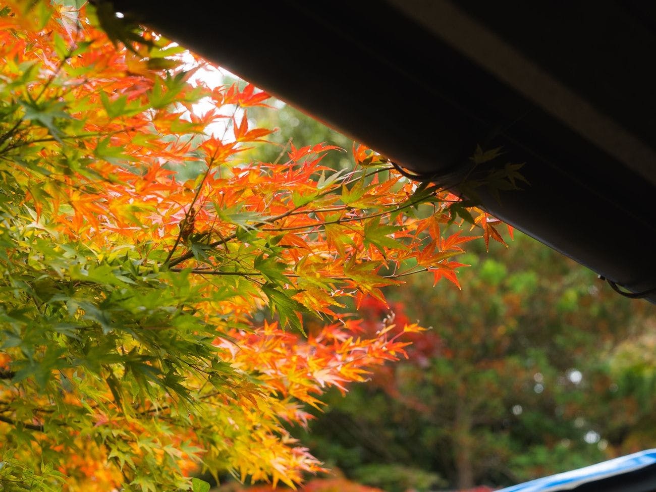 お宿 花かんざし
