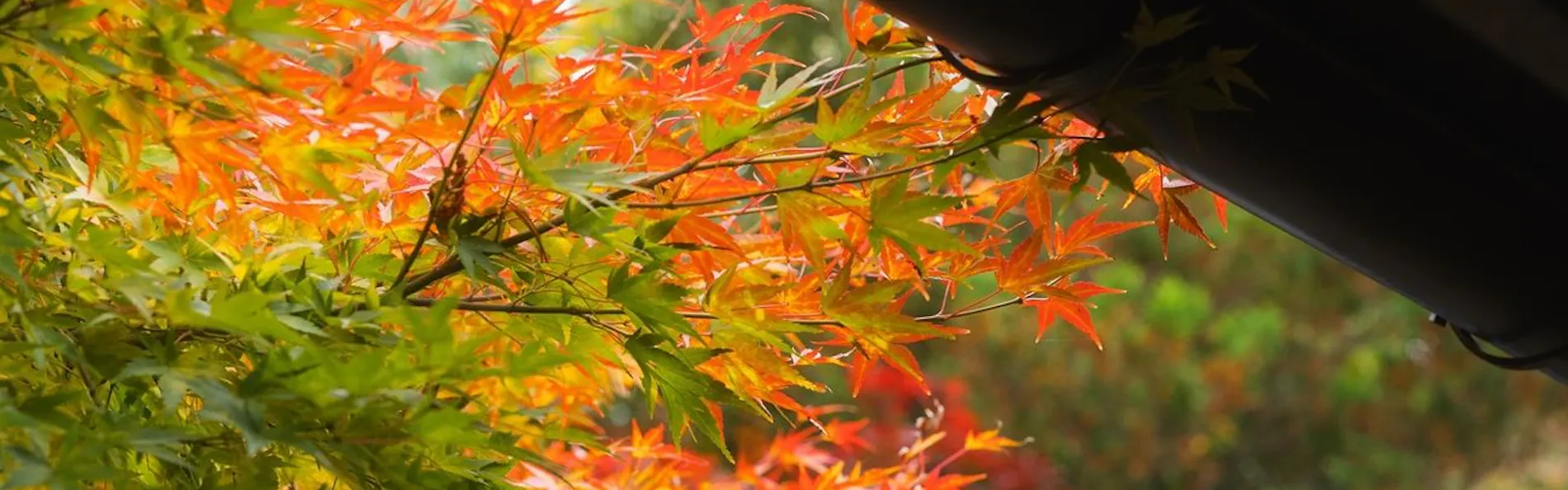 お宿 花かんざし