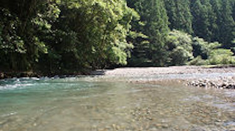 静響の宿 山水 の宿泊プラン 予約 Yahoo トラベル