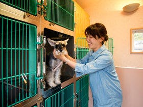 客室数は全8室。リピーター様にも人気♪