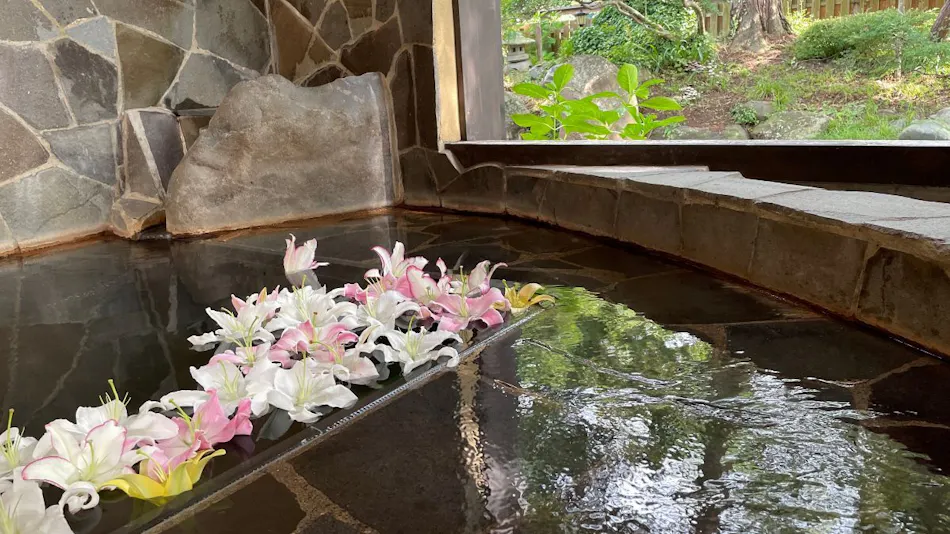 Echigo Tanaka Onsen Shinano-so