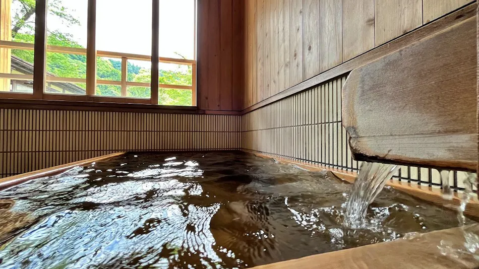 Echigo Tanaka Onsen Shinano-so