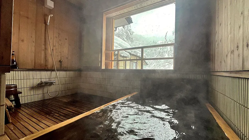 Echigo Tanaka Onsen Shinano-so