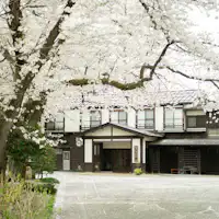 ◆ภายนอก ซากุระ