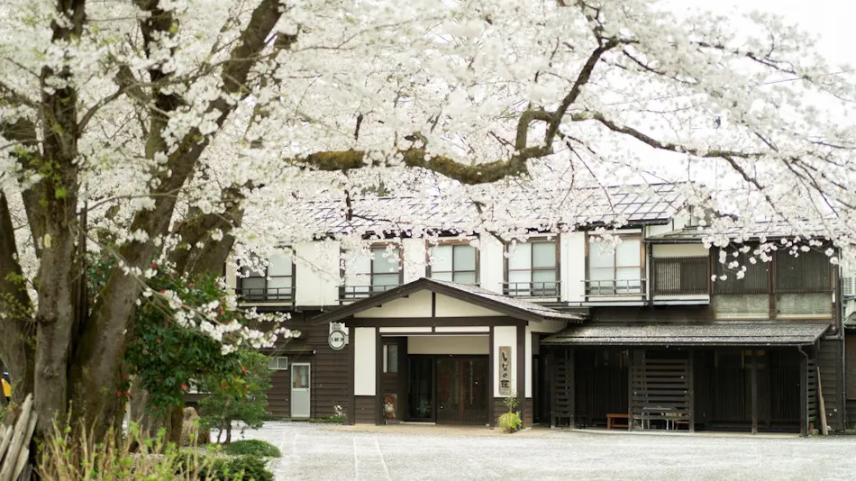 Echigo Tanaka Onsen Shinano-so