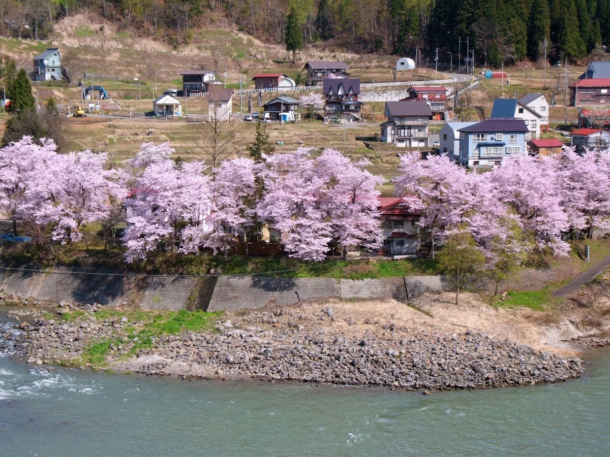 越後田中温泉しなの荘