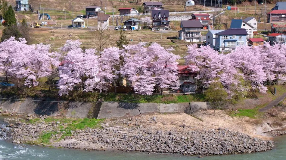 Echigo Tanaka Onsen Shinano-so