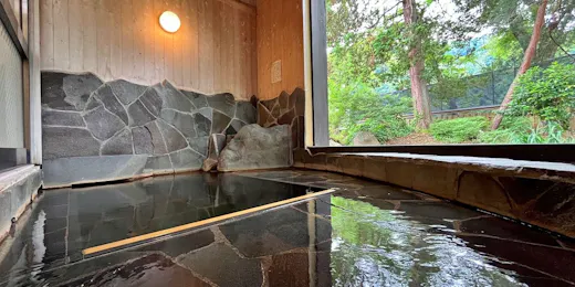 越後田中温泉しなの荘