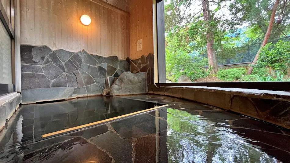 Echigo Tanaka Onsen Shinano-so