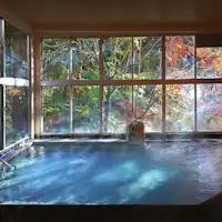 "Senju no Yu" Pemandian Pria (Pemandian Dalam Ruangan)