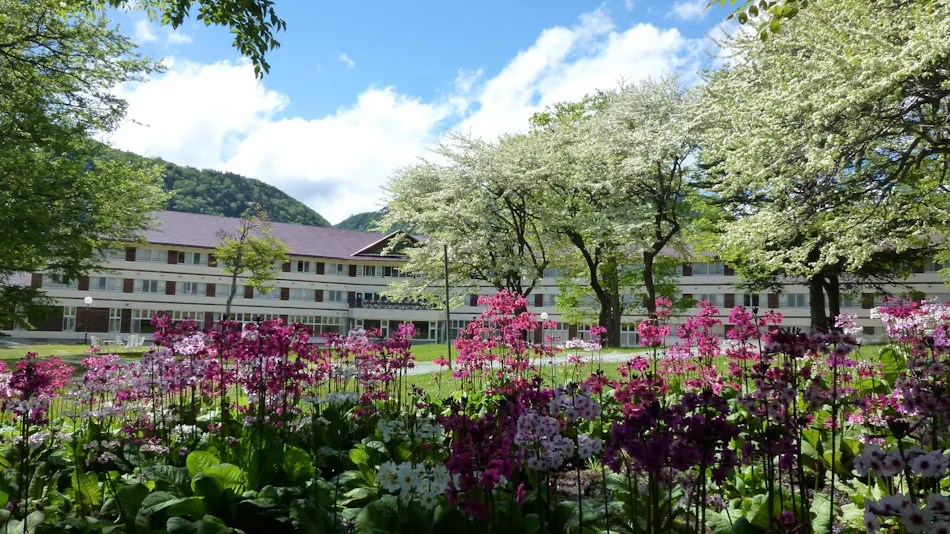Nikko Astoria Hotel