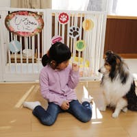 日光アストリアホテル ワンちゃんと泊まれるお部屋プラン【夕朝食付】
