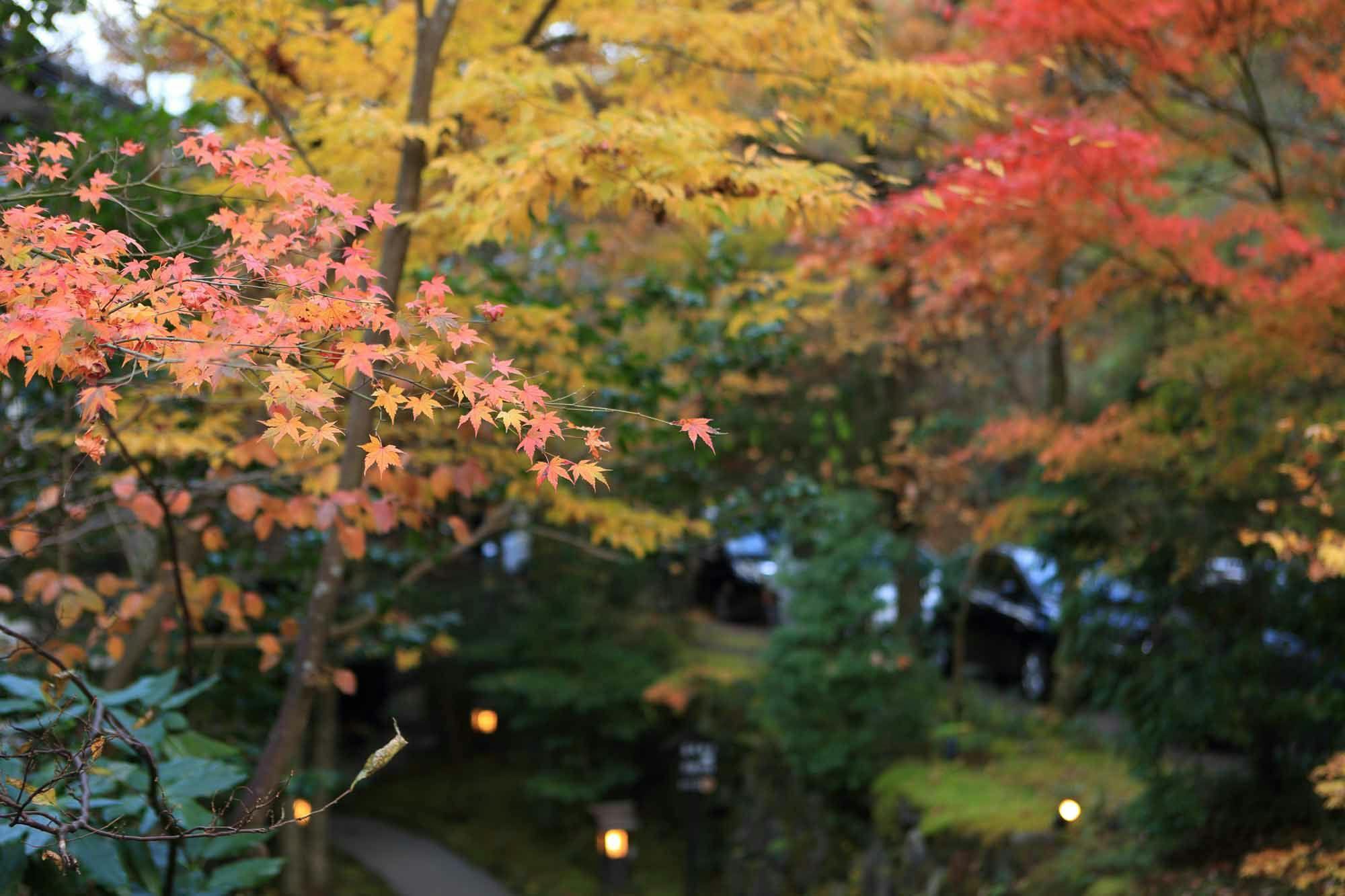 旅館 わかば