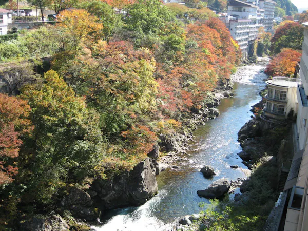 利根川に臨む客室・秋