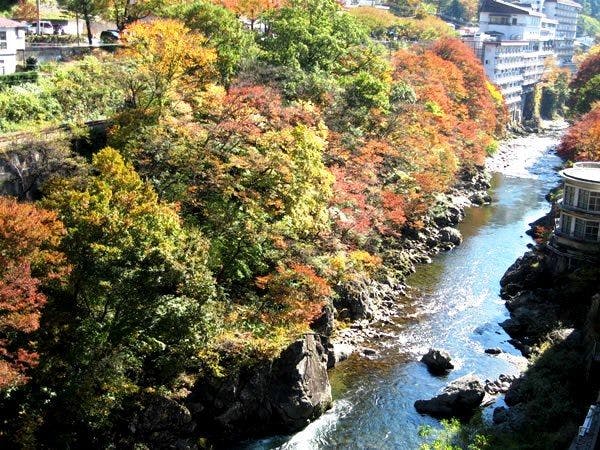 Từ Phòng nhìn ra dòng sông Tone trong xanh