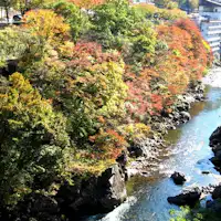利根川の清流を臨むお部屋から