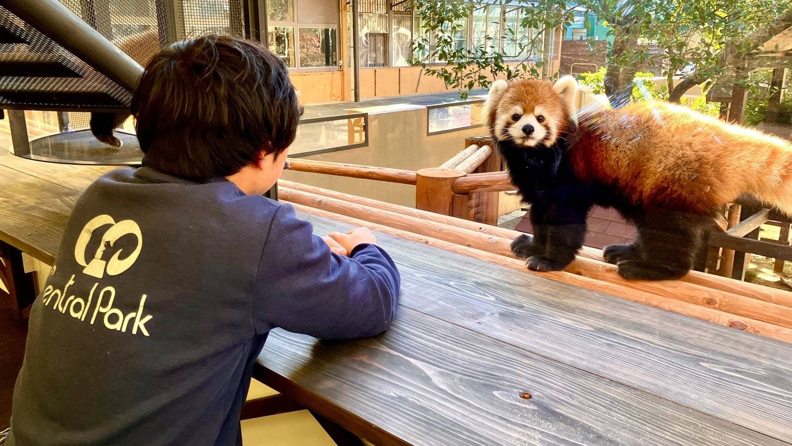 姫路セントラルパーク サファリ風景