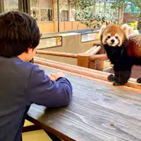 姫路セントラルパーク サファリ風景