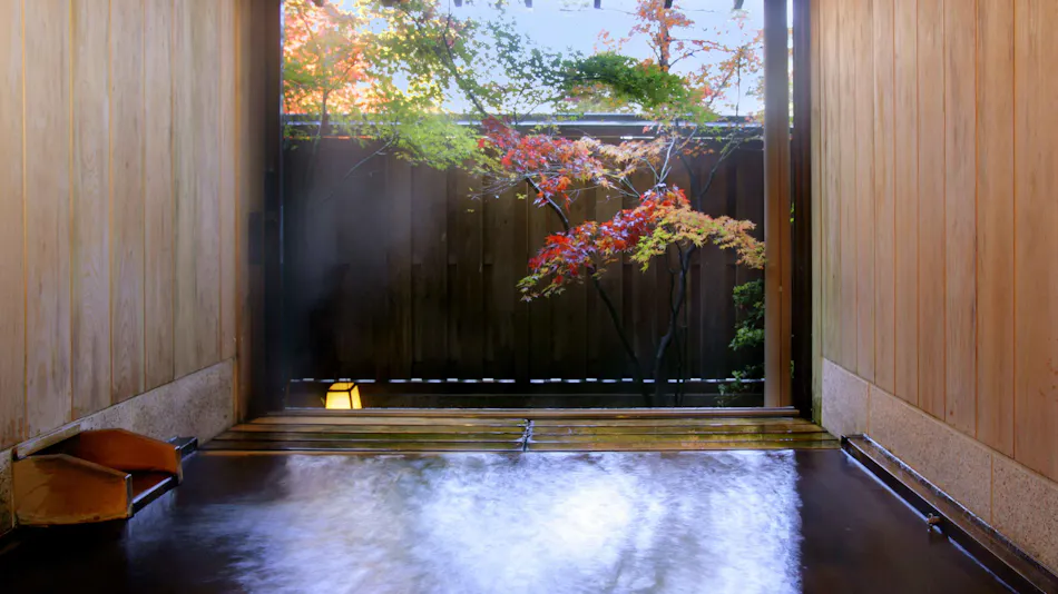 Ichikawa Annex Seikanso
