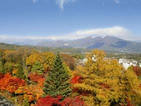 三種の無料貸切風呂と手作り会席料理の湯宿　市川別館　晴観荘