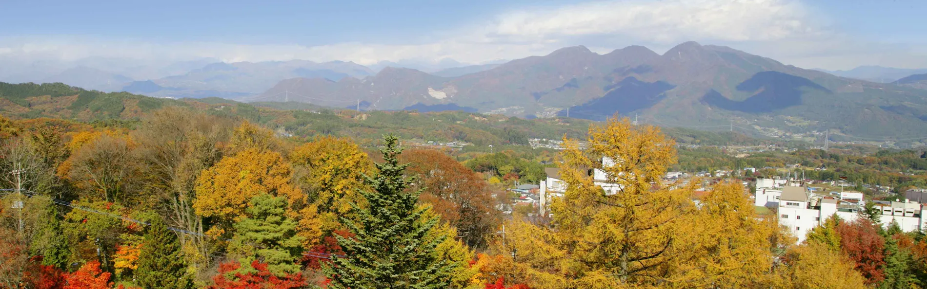 市川別館 晴観荘
