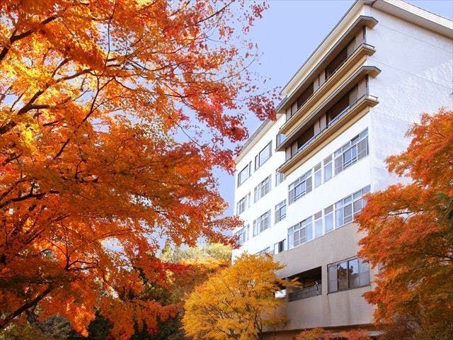 Ichikawa Annex Seikanso