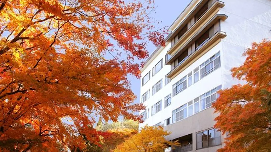 Ichikawa Annex Seikanso