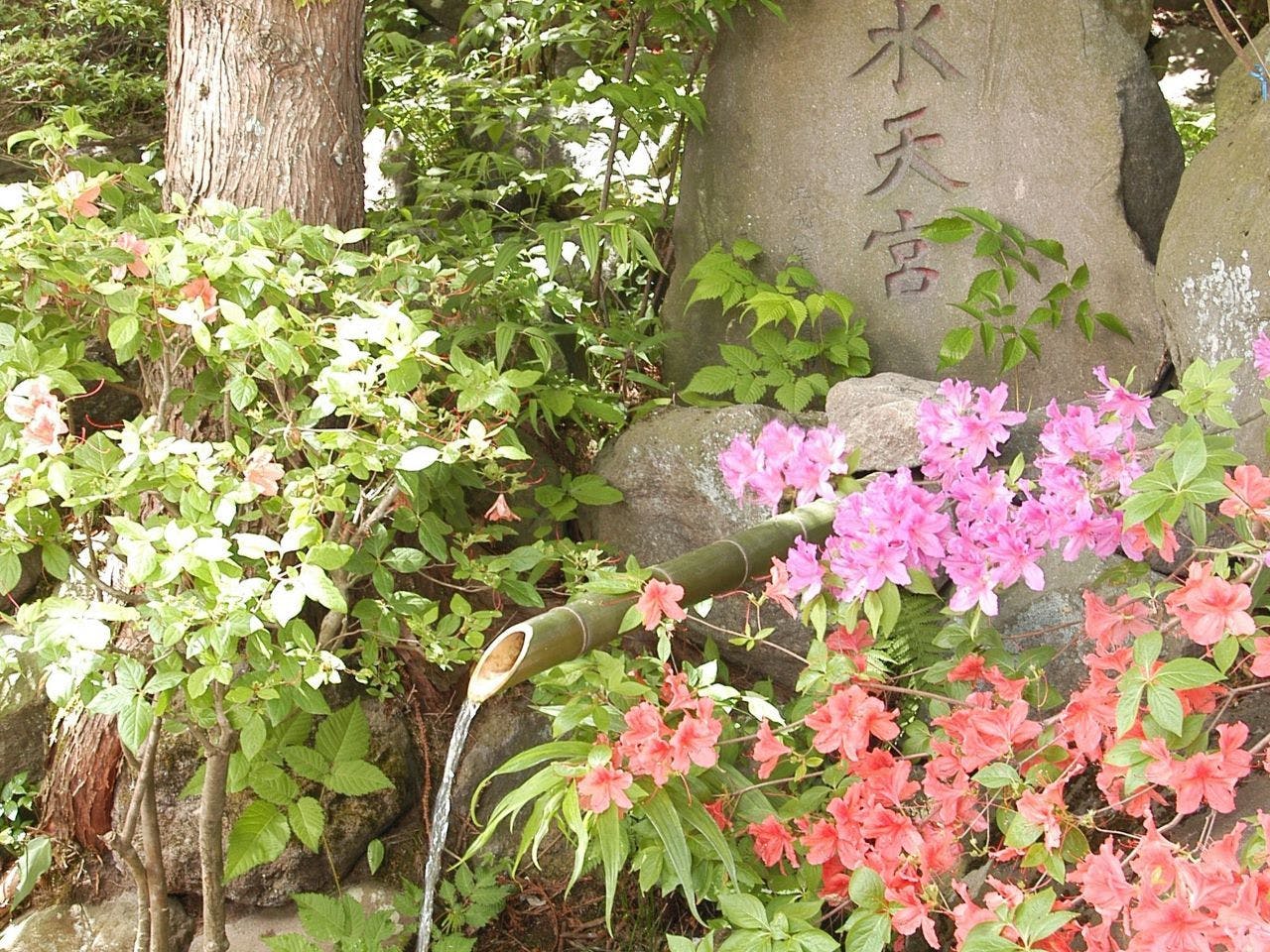 晴観荘 พาวเวอร์สปอต "น้ำศักดิ์สิทธิ์แห่งสุเทนกู"