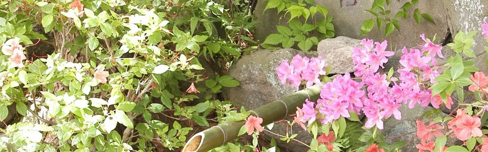 市川別館 晴観荘