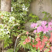 晴観荘 พาวเวอร์สปอต "น้ำศักดิ์สิทธิ์แห่งสุเทนกู"