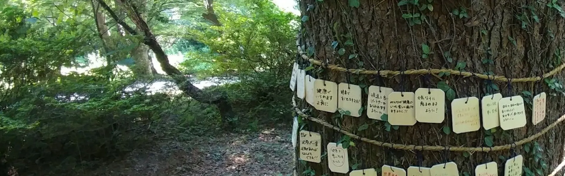 市川別館 晴観荘