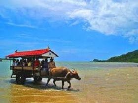 ラ・ティーダ西表リゾート 