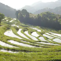 ดาอิเซ็น เซ็นไมดะ ซึ่งได้รับเลือกให้เป็นหนึ่งใน 100 นาขั้นบันไดที่ดีที่สุดในญี่ปุ่น