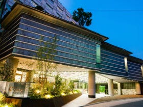 道後温泉　茶玻瑠