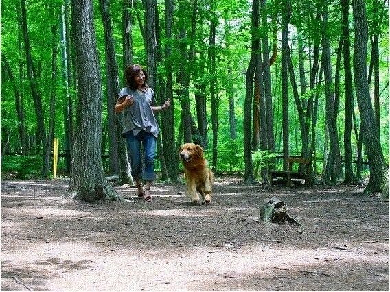 อยู่กับสุนัขของคุณเสมอ