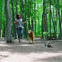 อยู่กับสุนัขของคุณเสมอ