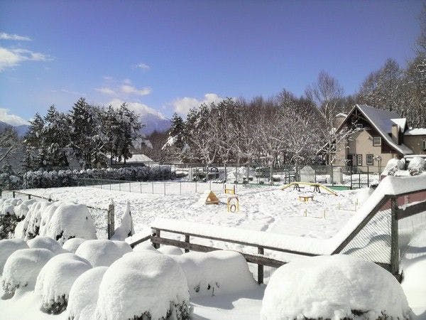 わんわんパラダイス 八ヶ岳（旧：八ヶ岳わんわんパラダイス コテージ）