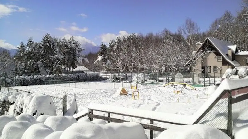 Wan Wan Paradise Yatsugatake