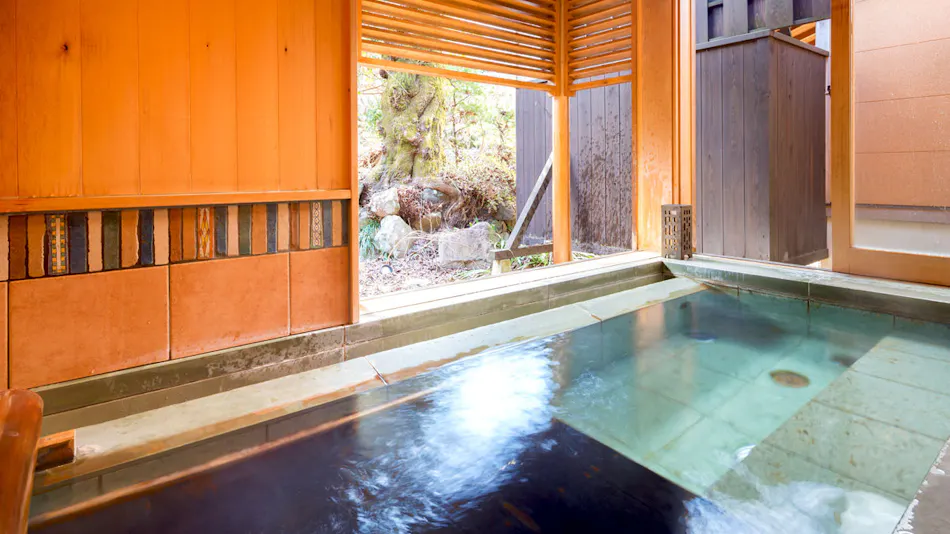 Matsumotoro Western-style Inn Pinon