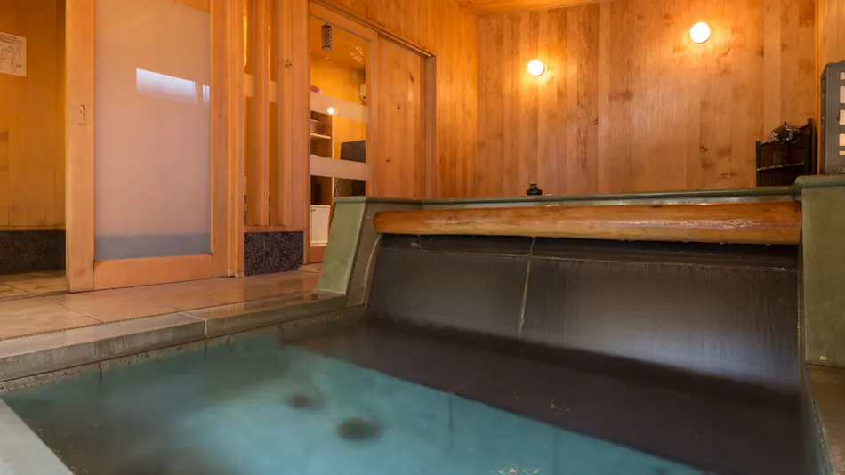 Matsumotoro Western-style Inn Pinon